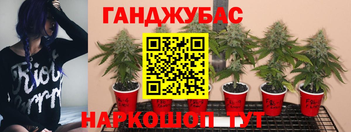 Шишки марихуана Amnesia Кириши